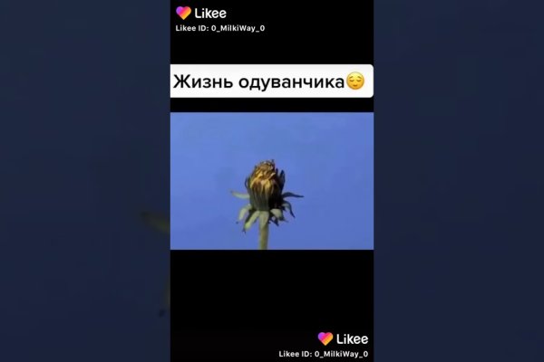 Кракен через тор