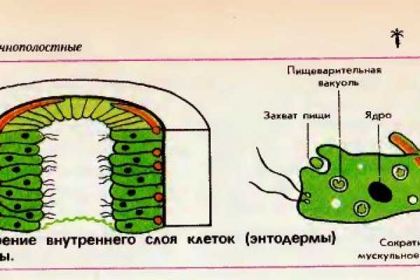 Кракен даркен