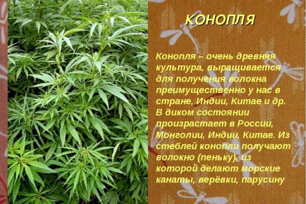 Ссылка на кракен тор