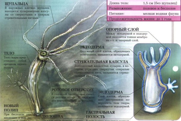 Кракен сбой