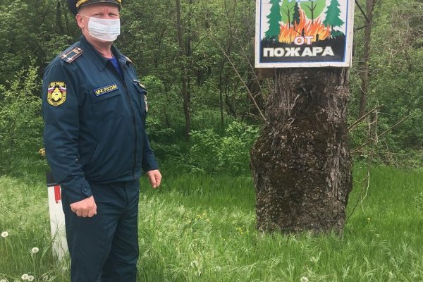 Кракен маркет дарнет только через тор