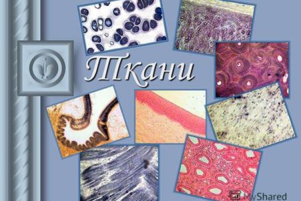 Кракен даркнет текст