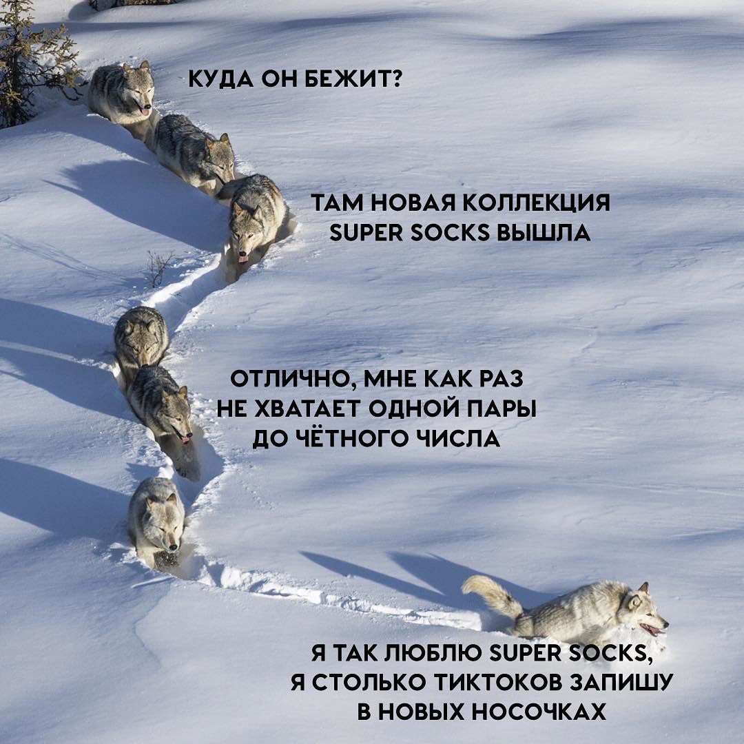 Кракен ссылка тор
