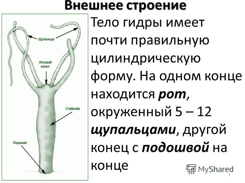 Кракен наркоз магазин